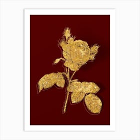 Vintage Pink Cabbage Rose Botanical in Gold on Red n.0443 Art Print