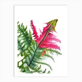 Christmas Fern Wildflower Watercolour 1 Art Print