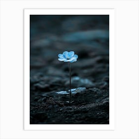 Small Blue Flower Art Print