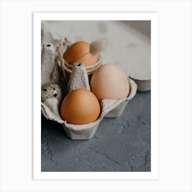 Eggs In A Carton 26 Art Print