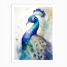 Peacock Watercolor Painting Art Print