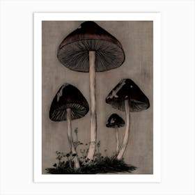 Three Mushrooms Art Print