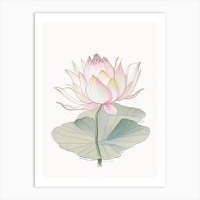 Blooming Lotus Flower In Lake Pencil Illustration 2 Poster