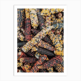 Indian Corn Art Print