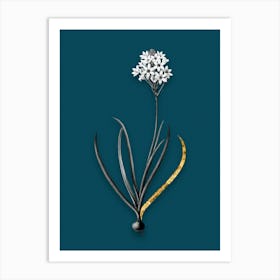 Vintage Arabian Starflower Black and White Gold Leaf Floral Art on Teal Blue n.0539 Art Print