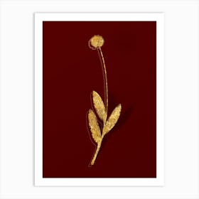 Vintage Victory Onion Botanical in Gold on Red n.0552 Art Print