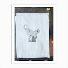 Original sketch lion cub Art Print