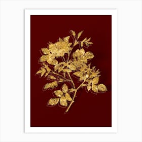 Vintage Malmedy Rose Botanical in Gold on Red n.0274 Art Print