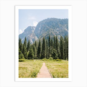 National Parks Yosemite Trees 1 Art Print