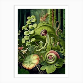 Garden Snail Woodland 1 Botanical Art Print
