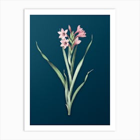 Vintage Sword Lily Botanical Art on Teal Blue 1 Art Print