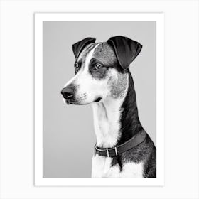 Plott Hound B&W Pencil Dog Art Print