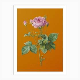 Vintage Pink French Roses Botanical on Sunset Orange n.0311 Art Print