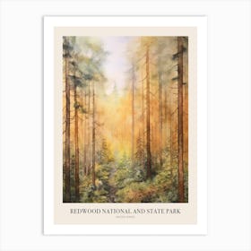 Autumn Forest Landscape Redwood National And State Park Poster Art Print