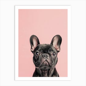 Black French Bulldog On A Pink Background.Generated AI. Art Print Art Print