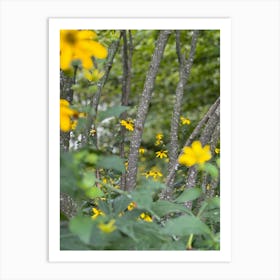 Hudson forest Art Print