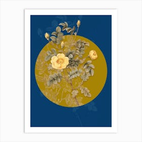 Vintage Botanical Yellow Sweetbriar Rose on Circle Yellow on Blue n.0334 Art Print