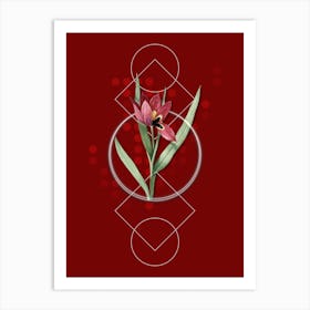 Vintage Tulipa Oculus Colis Botanical with Geometric Line Motif and Dot Pattern n.0082 Art Print