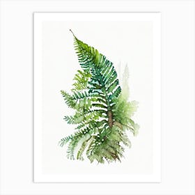 Dwarf Tree Fern 3 Watercolour Art Print