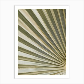 Fan Palm Leaf Art Print