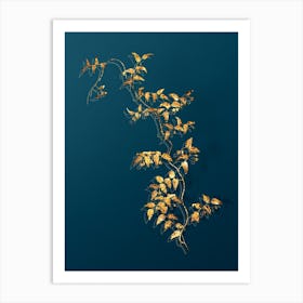 Vintage Bridal Creeper Botanical in Gold on Teal Blue n.0298 Art Print
