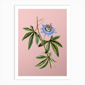 Vintage Blue Passionflower Botanical on Soft Pink n.0545 Art Print