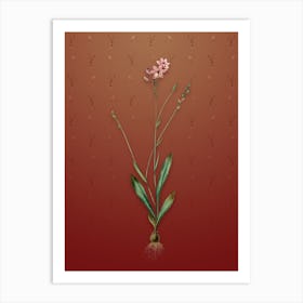 Vintage Gladiolus Junceus Botanical on Falu Red Pattern Art Print