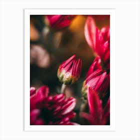 Poster Flower Art Print 10 Art Print