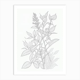 Ashwagandha Herb William Morris Inspired Line Drawing Art Print