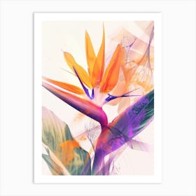 Bird Of Paradise 6 Art Print