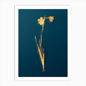 Vintage Sword Lily Botanical in Gold on Teal Blue n.0225 Art Print