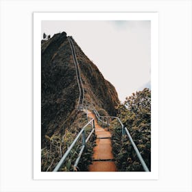 Hawaii Hiking Trail Art Print