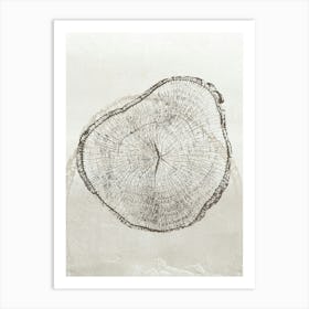 Neutral Tree Ring Stump 2 Art Print
