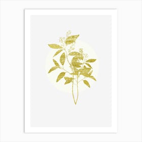 Gold Leaf 4 Art Print