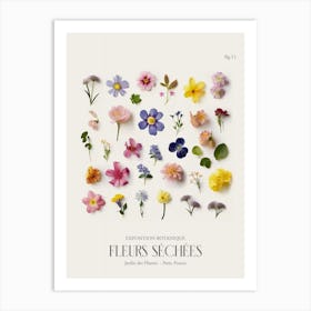 Fleurs Sechees, Dried Flowers Exhibition Poster 11 Art Print