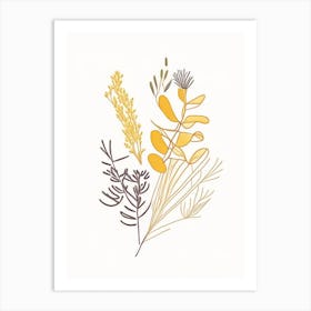 Fenugreek Spices And Herbs Minimal Line Drawing 1 Art Print