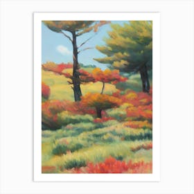 Radiata Pine Tree Watercolour 1 Art Print