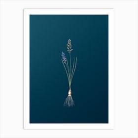 Vintage Autumn Squill Botanical Art on Teal Blue n.0125 Art Print