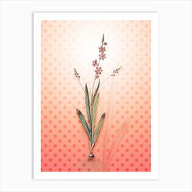 Ixia Scillaris Vintage Botanical in Peach Fuzz Polka Dot Pattern n.0187 Art Print