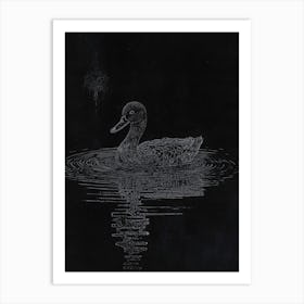 Duck In The Water 1 Art Print