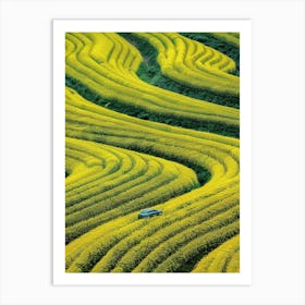 Chinese Rape Fields Art Print