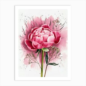 Pink Peony Canvas Print Art Print