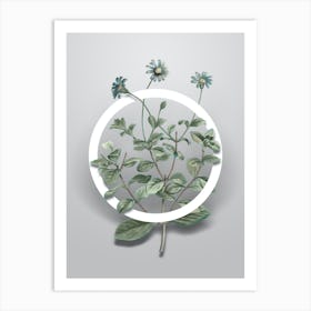 Vintage Blue Marguerite Plant Minimalist Botanical Geometric Circle on Soft Gray Art Print