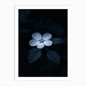 Dark Flower 5 Art Print