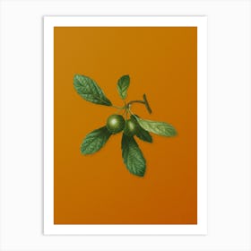Vintage Crabapple Botanical on Sunset Orange n.0724 Art Print