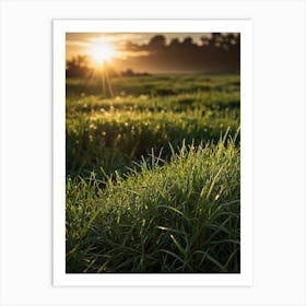 Sunrise Over A Grassy Field 1 Art Print