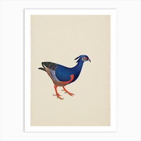 Pheasant Illustration Bird Art Print