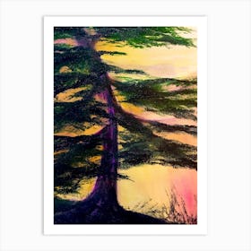 Sunset Cypress Art Print