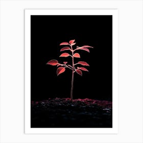 Tree Grows In The Dark 1 Art Print