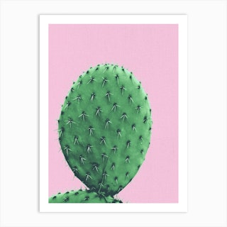 Cactus With Pink Art Print